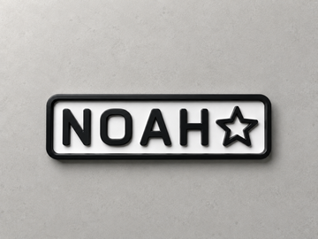 18 Custom Plate Examples for Little Drivers